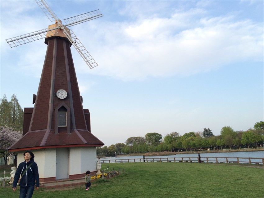 20150603-17-04-Windmills -Japanese-Flowers